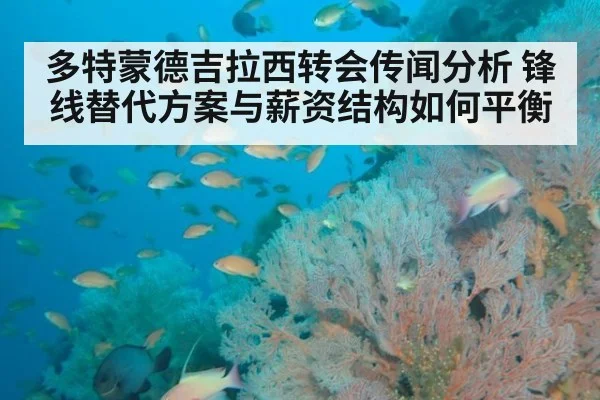 多特蒙德吉拉西转会传闻分析 锋线替代方案与薪资结构如何平衡